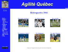 Tablet Screenshot of agilitequebec.com